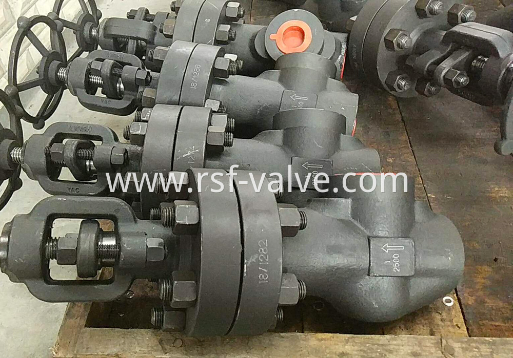 Forged Angle Globe Valve 3